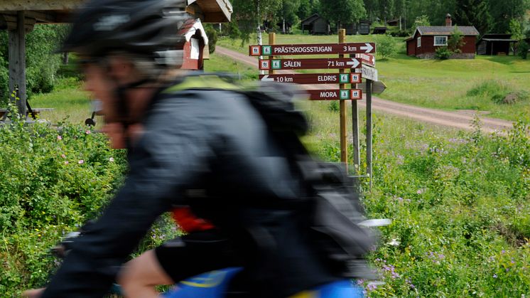 Nyheter inför CykelVasan – miljonbelopp har investerats i VasaloppsArenan