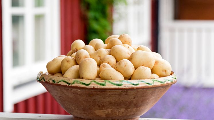 Färskpotatisbrist till midsommar
