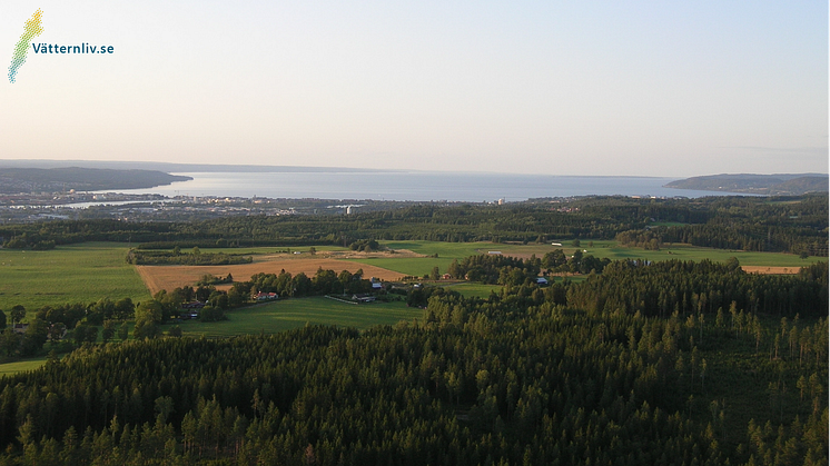 Vätternliv - Vätternvy