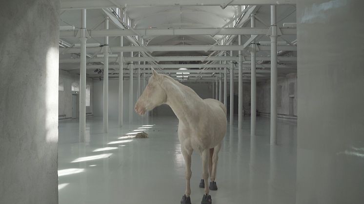 "The Vanguard", stillbild ur video: 07:21, Tove Kjellmark, 2022