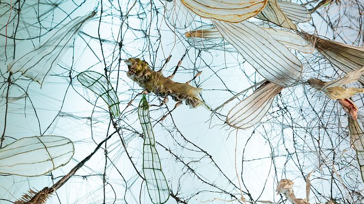 Annika Liljedahl, ”Nätspinnare”, 2016-2019. Detalj. Foto Paulina Simon.