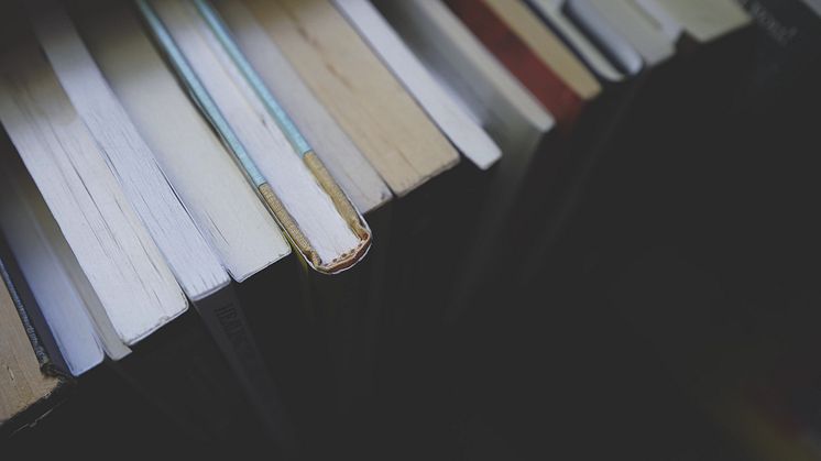Foto: Drew Coffman/unsplash