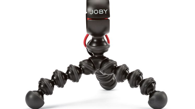 Gorilla pod stativet