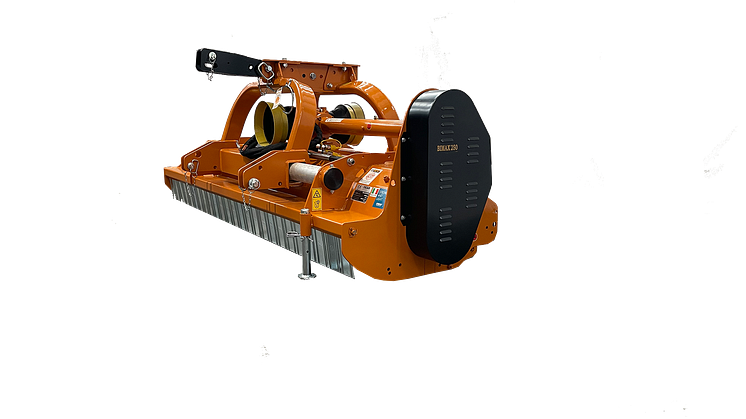 bimax lato 1