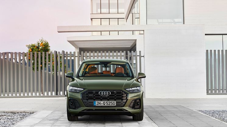 Audi Q5 2020 (Distriktgrøn)