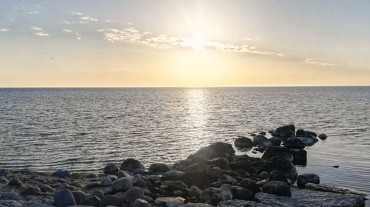 En solig sommardag vid Gotlands kust - är det mest sol här i sommar? 