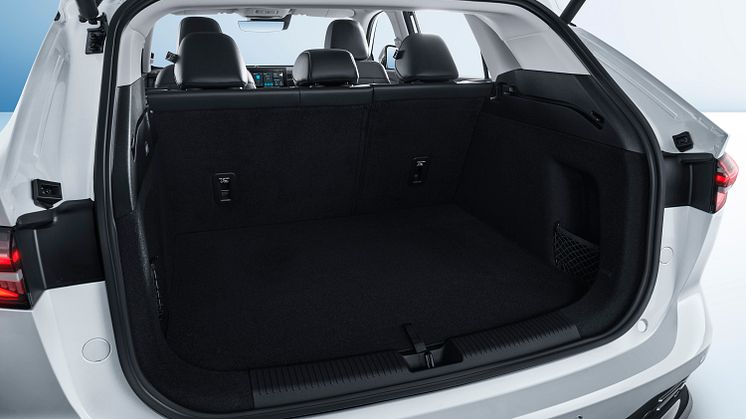 Trunk-4.jpg
