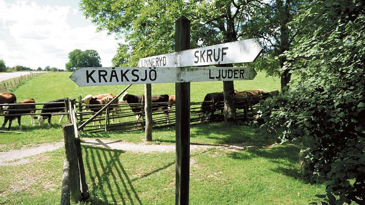 Pressträff för Musik i Glasriket
