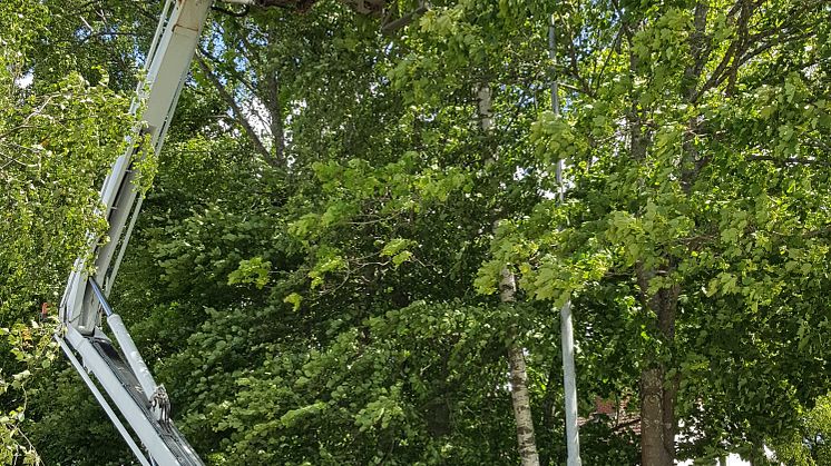ONE Nordic hjälper Växjö kommun att spara energi