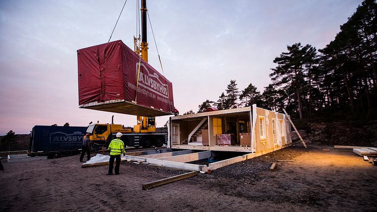 Tornerose slår opp øynene