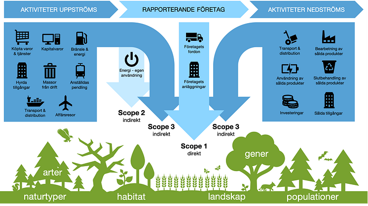 Projekt EcoComp handlar om utveckling av en handelsplattform för ekologisk kompensation och naturbaserad klimatkompensation. 