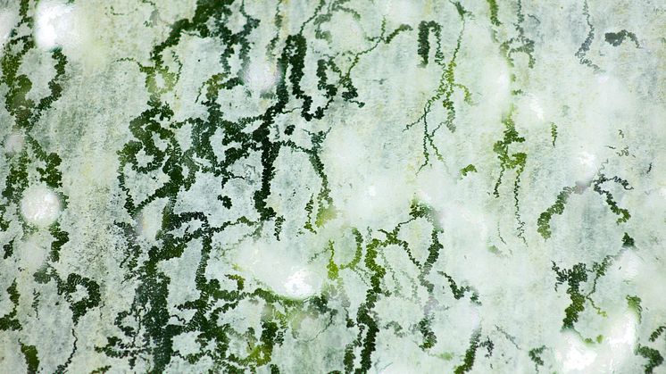 rowan-heuvel-qwKnWAXBuaA-unsplash
