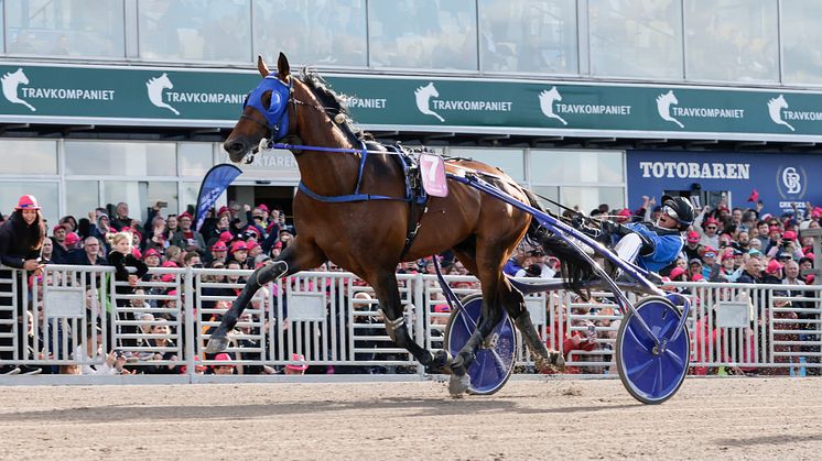 Franske styrkefenomenet Etonnant vann Elitloppet 2022. Foto: TR Bild
