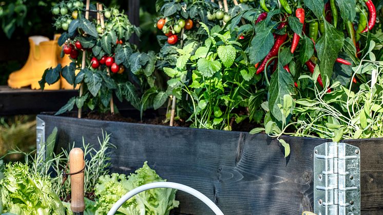 Rusta_2023_S2_Gardening_pallet_black-2-I