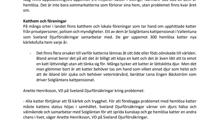 Inte bara sommarkatter som blir övergivna