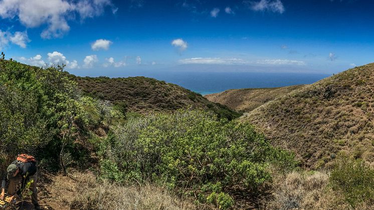 Sanningen om Hawaiis ”naturliga skönhet”