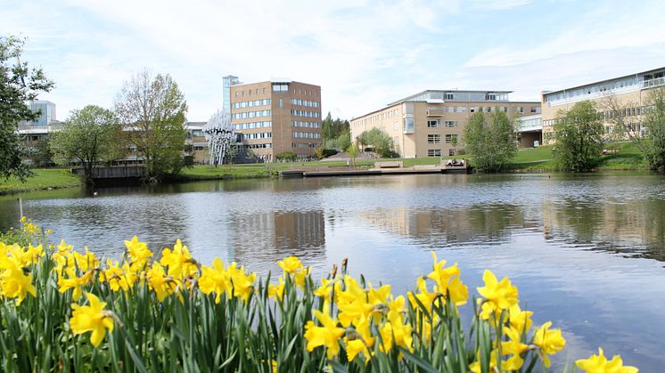 Campus Umeå, Umeå universitet