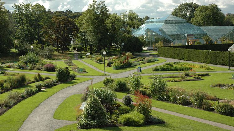 Nu står växterna i Bergianska trädgården enligt aktuell forskning