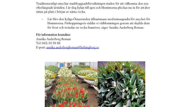 Kung Bore stoppade våren… 