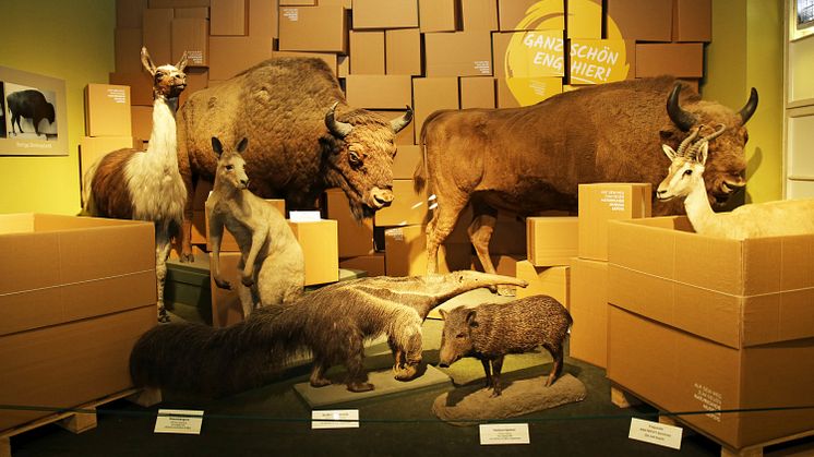 Naturkundemuseum Leipzig