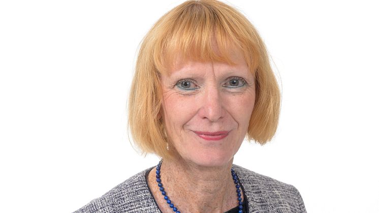  Professor Lisa Rydén