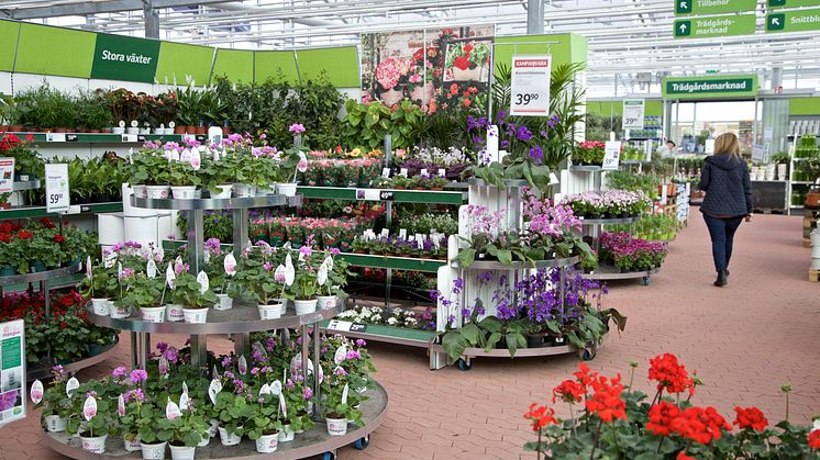 Blomsterlandet flyttar till bättre läge i Nyköping