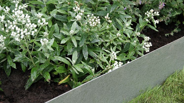 Planteringskanten från Flexigarden har en beläggning som motverkar rostangrepp och med tiden blir ljusare i ytan