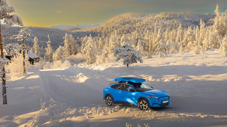 Ford Mustang Mach-E Vinter 2022