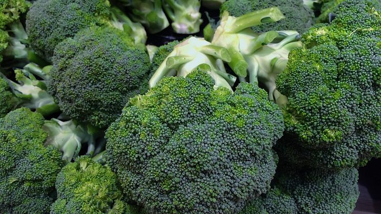 Broccoli skyddar mot diabetes