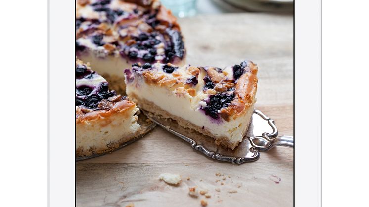 Cheese Cake - Goda och glutenfria tårtor i nya kokboksappen "Cook & Bake Gluten Free" 