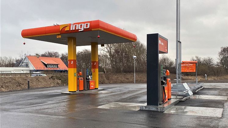 INGO Viken 