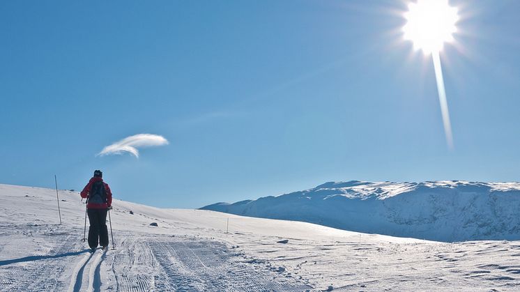 Illustrasjonsfoto (Shutterstock)