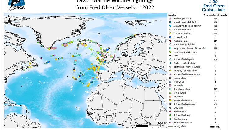 Folsen_2022_title