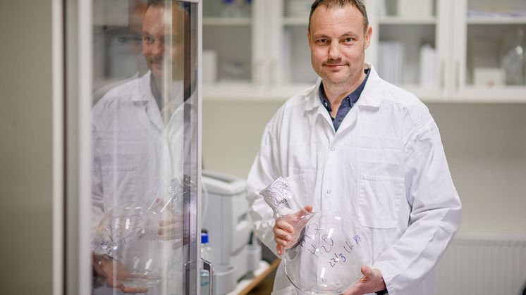 Niklas Arnberg, professor vid Institutionen för klinisk mikrobiologi, Umeå universitet. Foto: Mattias Pettersson.