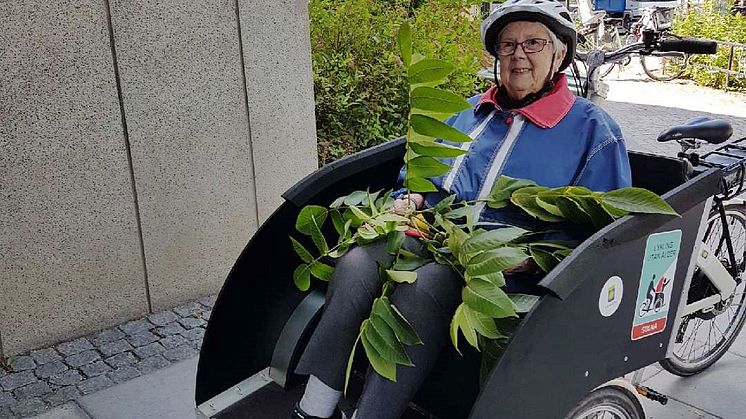 Björkgården på cykeltur.