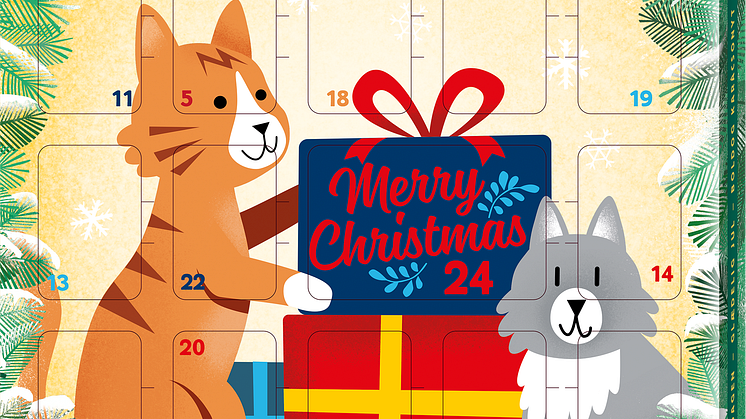 MultiFit Adventskalender für Katzen, UVP: 4,99 €