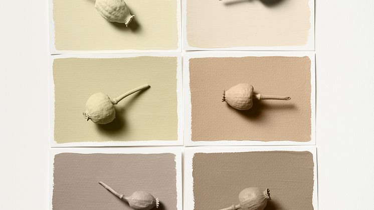 Nordsjö-Colour-Futures-2023-Raw-Colours-Palette