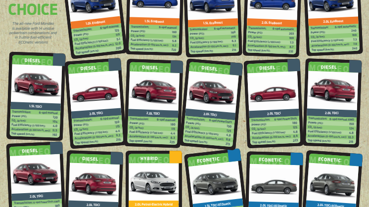Ford Mondeo motorprogram