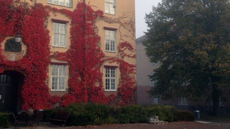 Fortsatt ökning av fuskande studenter