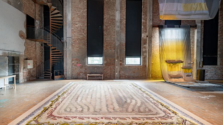 Installationsvy från Röda Sten Konsthall, Åsa Elzén – Avskrift av en Träda (2019). Foto: Hendrik Zeitler