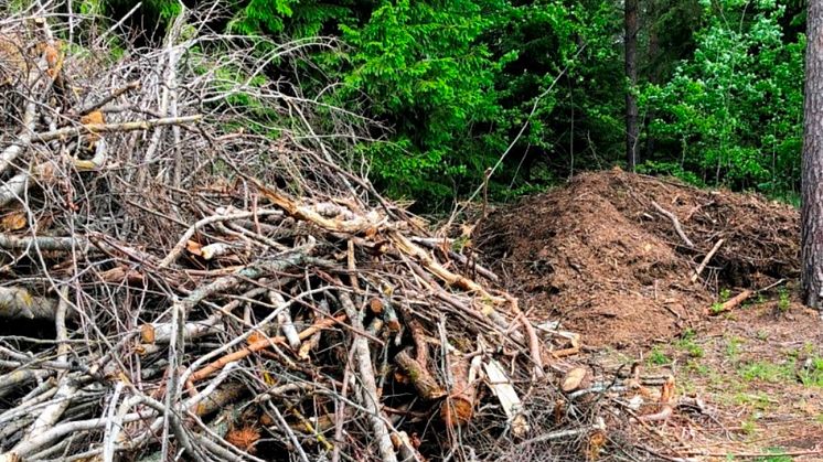 GROT - grenar och toppar som blir över vid skogsavverkning, används som bränsle i fjärrvärmen.