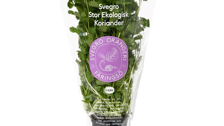 180412_Svegro_Koriander