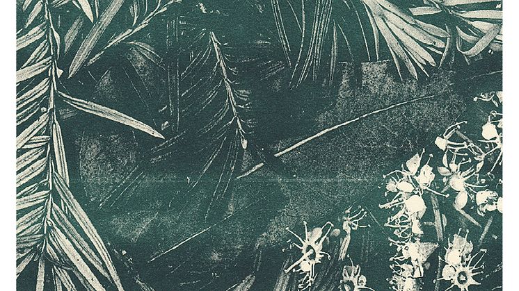 NATURUM: Grupputställning på Göteborgs Konsthall 13 juni-21 september