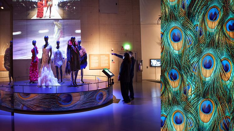 Pressvisning - Feathers på Etnografiska museet