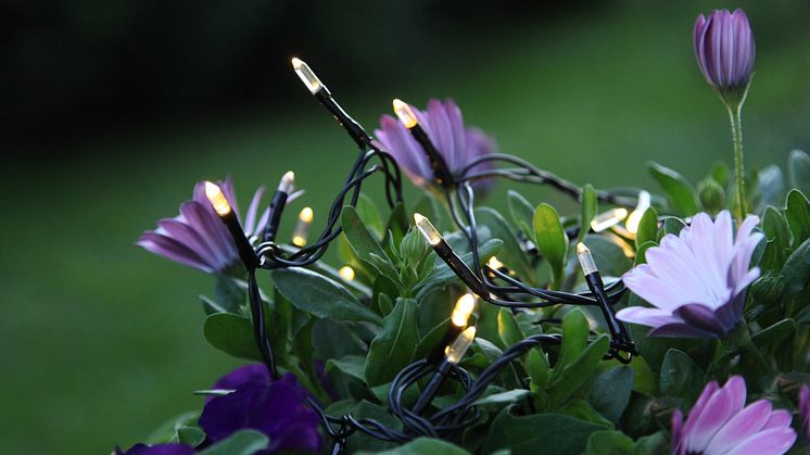 Batteridriven ljusslinga med LED