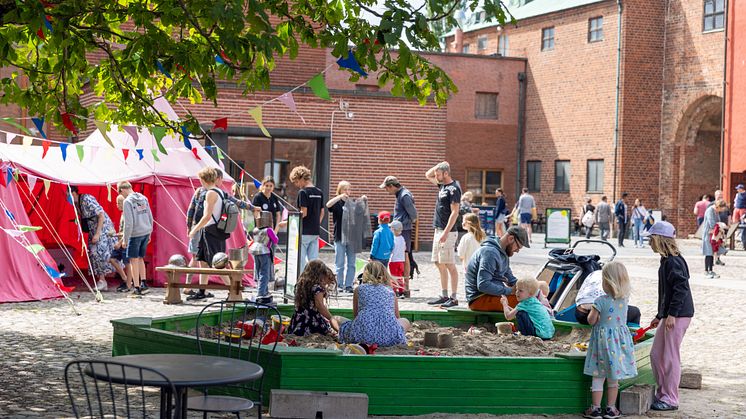 Sommar på slottet_fotograf Mohammad Hasan