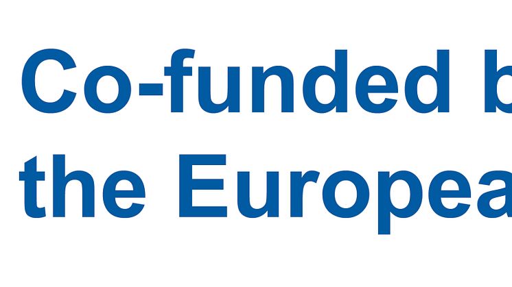 EN Co-funded by the EU_POS.jpg