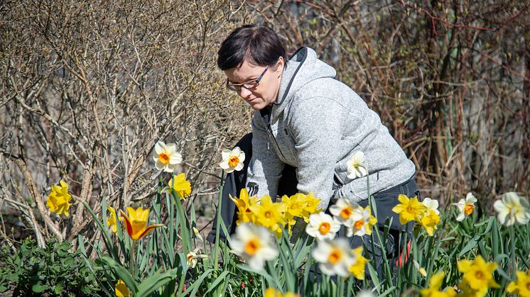 Miljövärden Joanna Spora gör vårfint i Bergsjön
