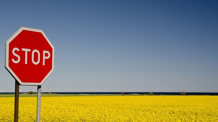 Regeringen föreslår skatt på biooljor för uppvärmning.
