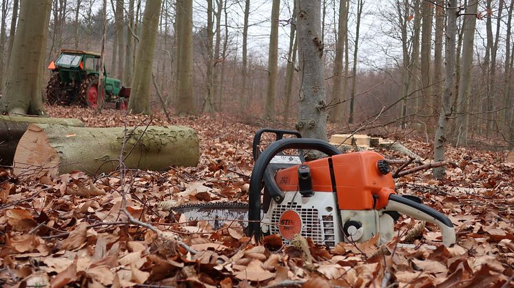 STIHL MS 361 i hvile